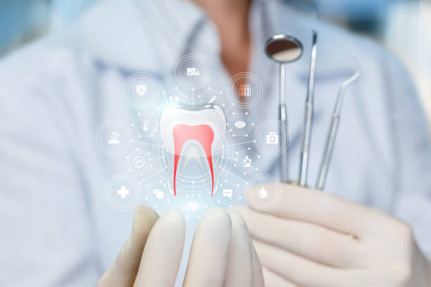 Best Full Mouth Reconstruction  in Tton, IL